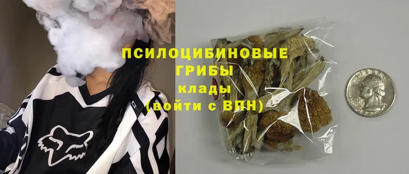 Псилоцибиновые грибы GOLDEN TEACHER  хочу наркоту  Кумертау 